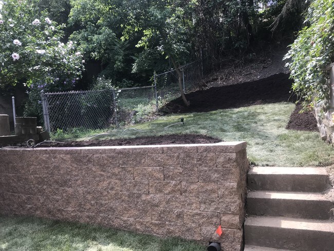 Backyard - 212 Wachter St