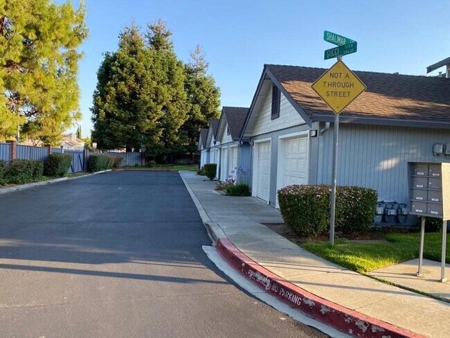 Photo - 34604 Gucci Terrace Apartment