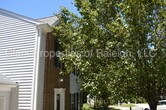 Primary Photo - 4806 Tapestry Terrace