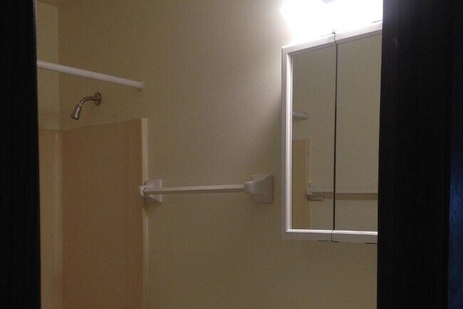 Bathroom - 433 Meadowridge Cir
