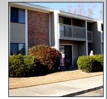 Foto principal - Spring Hill