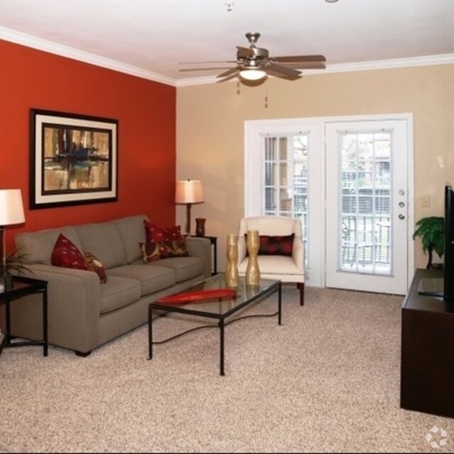 Halstead Rentals Houston, TX