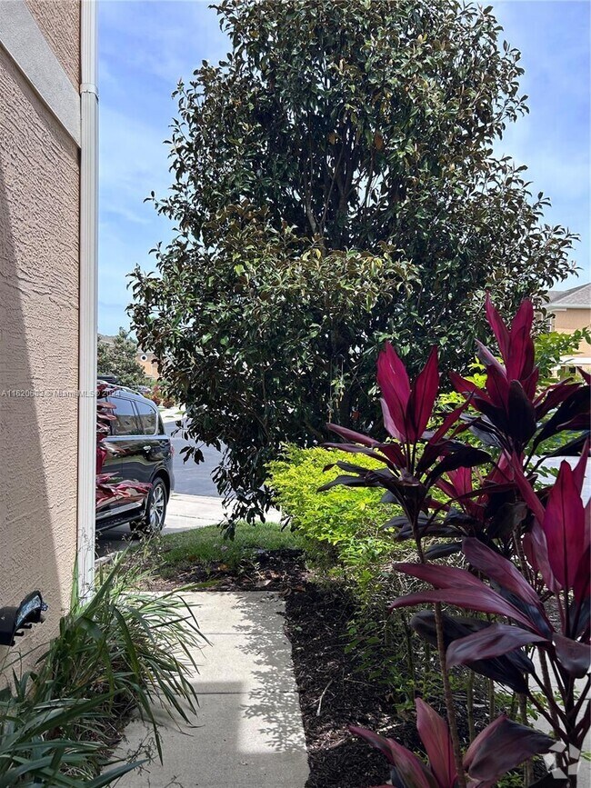 The Groves Apartments for Rent Davenport, FL 17 Rentals