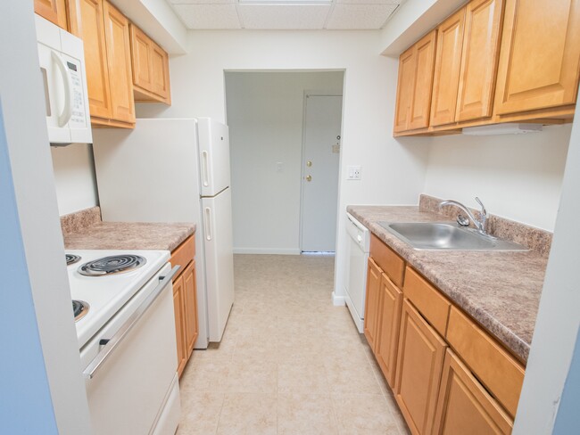 Sample Kitchen - Lake Club Apartments