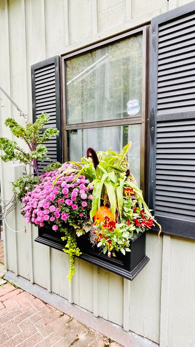 Jardín delantero/Entrada - 1005 Hill St