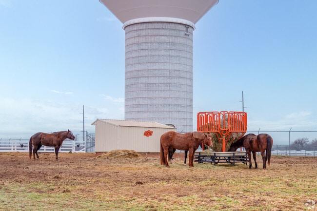Horses graze peacefully at an Oklahoma State University facility in Stillwater.