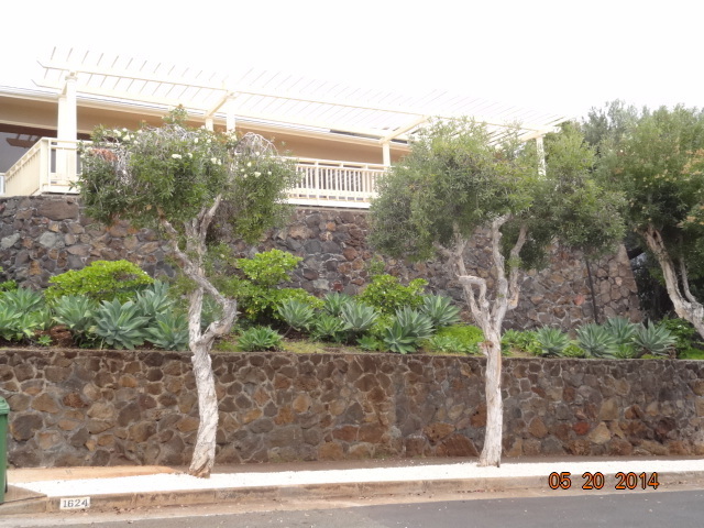 Primary Photo - 1624 Kamole St