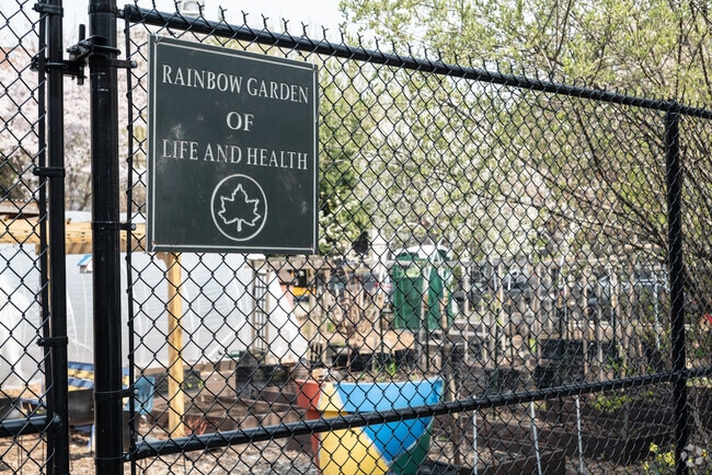 Many residents still grow their own food and raise chickens in the local gardens in Melrose.