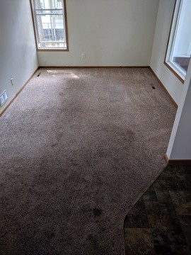 Building Photo - 7 Bedroom/2 Bath near SCSU