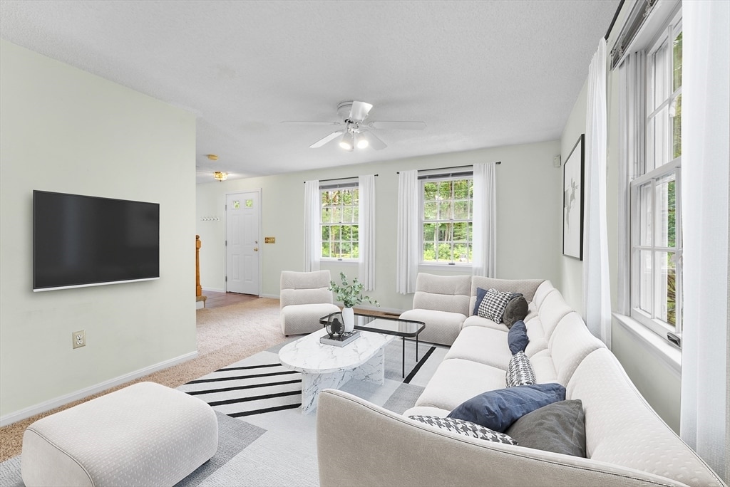 Primary Photo - 38 Haskell St