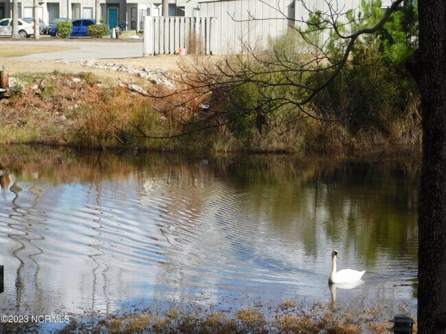 Building Photo - 138 Mallard Cove