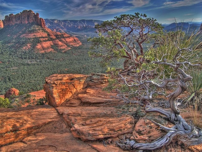 The Brins Mesa Rim