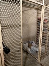 Building Photo - 303 Lili?uokalani Ave