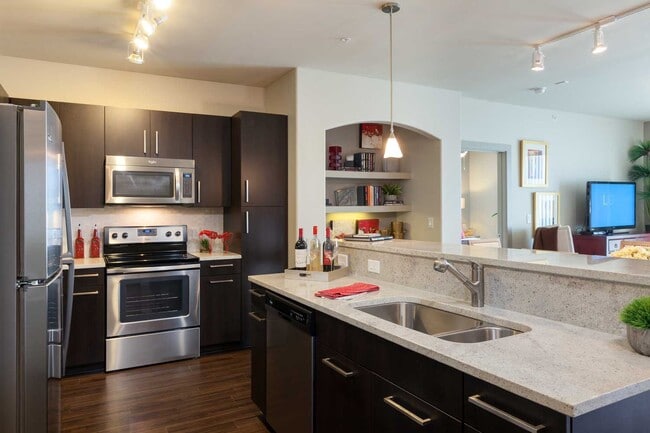 Modern Luxury in Montrose 1/1 - Modern Luxury in Montrose 1/1 Apartment