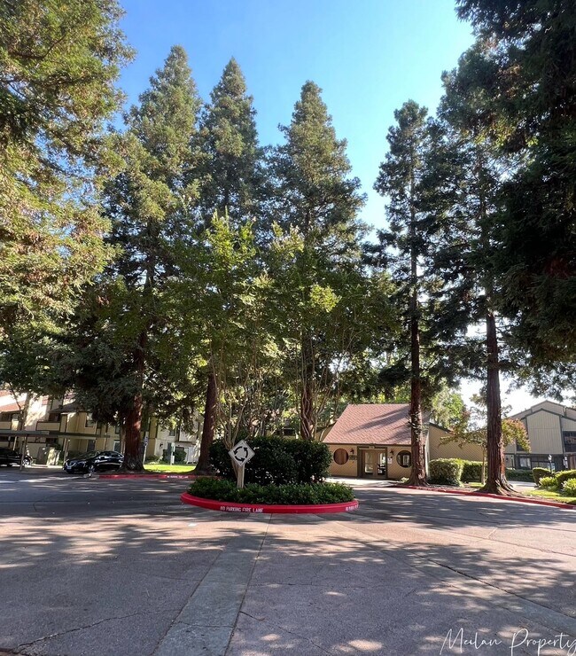Building Photo - 251 Del Verde Cir
