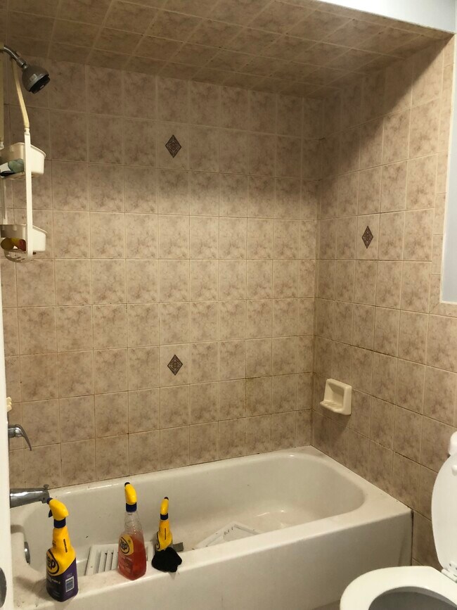 Bathroom 1 - 88 Orient Ave