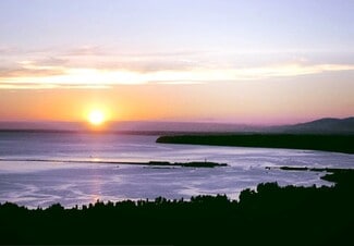 Building Photo - 1300 Peace Portal Dr