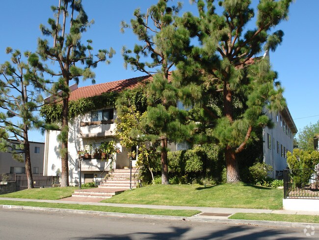 tree obstruction - Tolucan Morrison