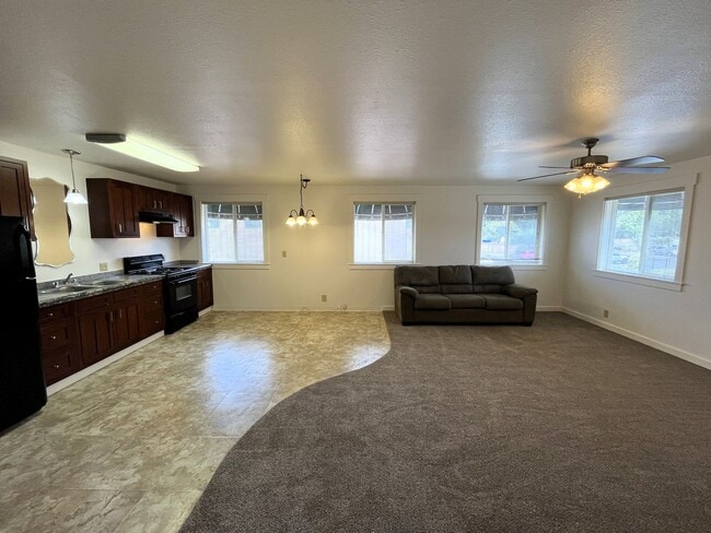 Foto del edificio - Large Cat-Friendly 1 Bedroom Apartment In ...