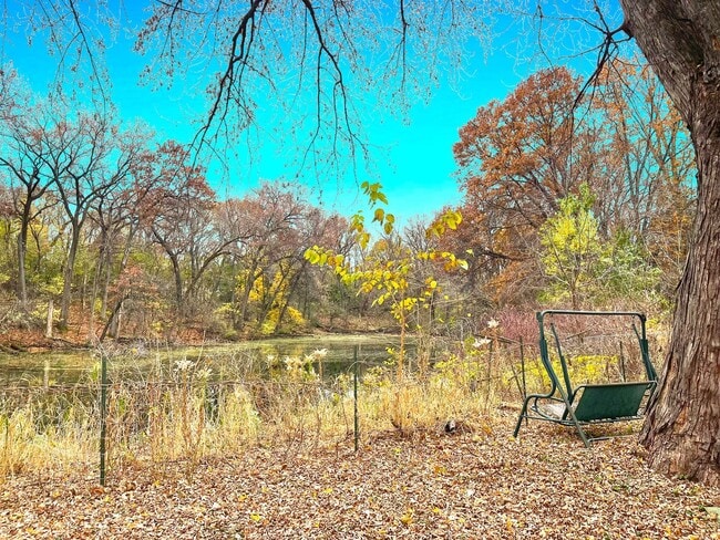 Building Photo - 3 Plus BR Sparkling Lakeshore Home with Two Kitchens, Fireplace, Huge Deck and is Pet Friendly!