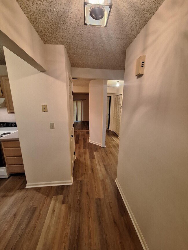 Interior Photo - School Court