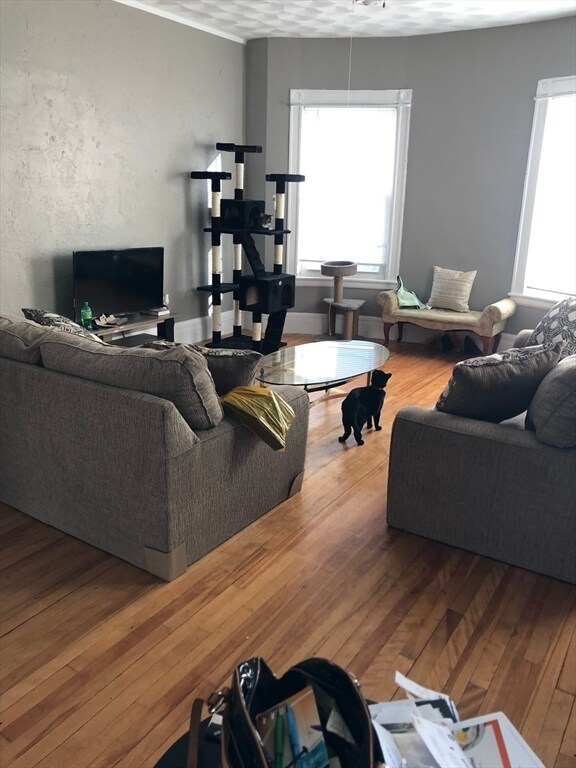 Foto del edificio - 23 Stoneland Rd