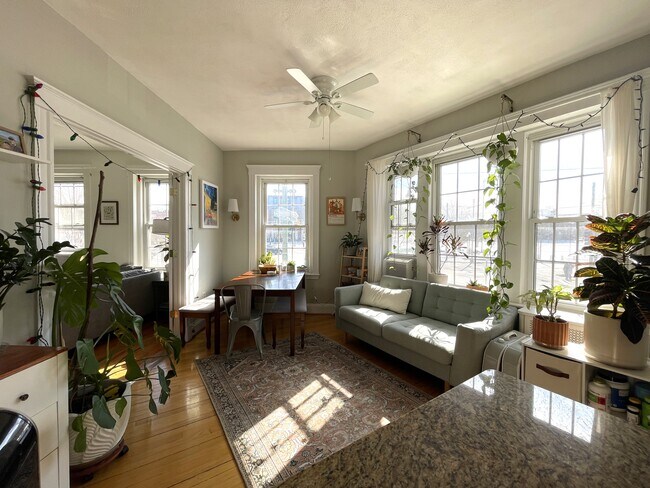 Foto del edificio - 374 Chestnut Hill Ave