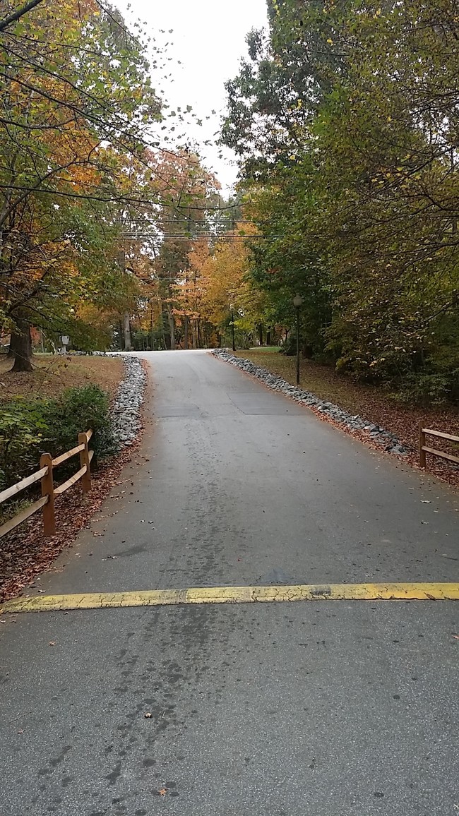 Building Photo - Forest Village Estates