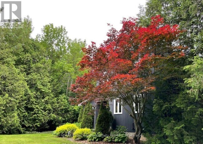 Photo du bâtiment - 516666 7 Line