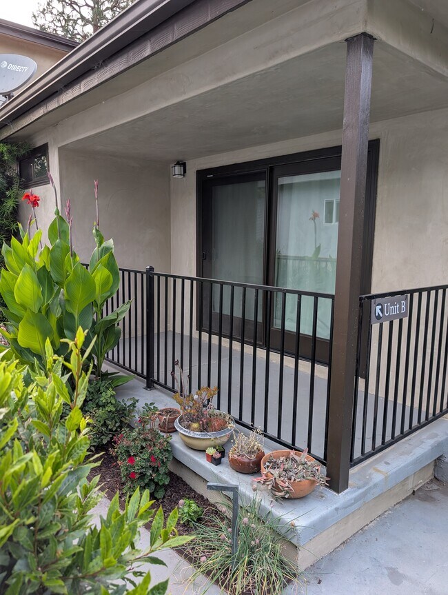 Patio ajardinado - 3617 Wesley St
