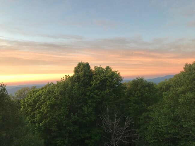 Foto del edificio - 111 Courtside Ln