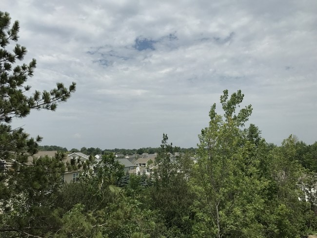 Building Photo - The Woods at Bayview