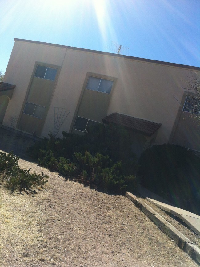 Building Photo - 433 Avenida Garza