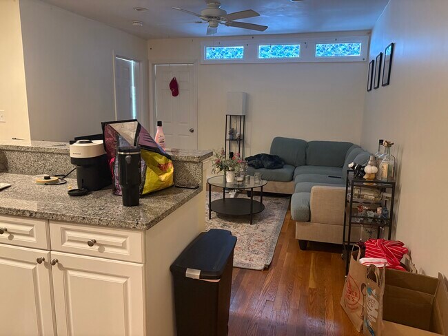 Building Photo - 56 Egmont St