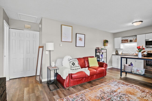 Living room - 245 Mulberry St