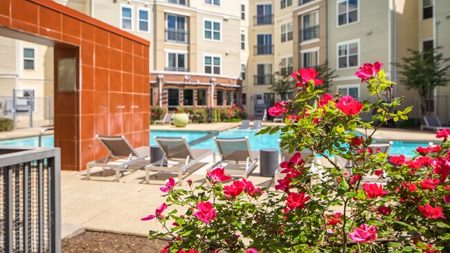 Photo - Proximity at ODU Apartments