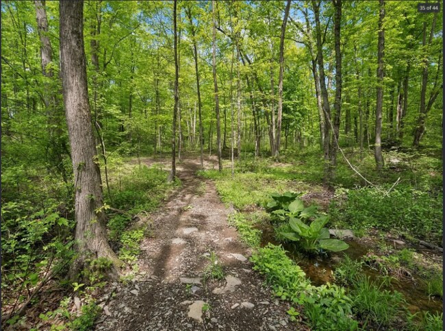 Foto del edificio - 26 Woodland Cir