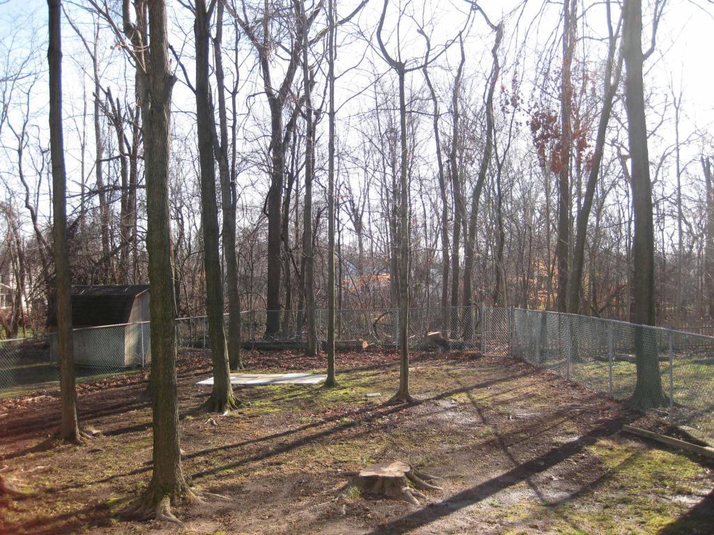 Foto del edificio - 4177 Camellia Ct