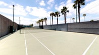 This outdoor tennis facility features well-maintained hard-court surfaces finished in a classic green tone, with clearly marked white court lines and a regulation net in place. The courts are enclosed by sturdy chain-link fencing supported by green metal posts, providing both safety and containment during play. A solid concrete perimeter wall borders one side of the facility, adding a clean, structured boundary to the space.

The open-air setting is defined by an abundance of natural light, as the courts sit beneath an expansive sky with no overhead obstructions. Tall palm trees line the perimeter, creating a distinctly warm-climate atmosphere and providing a scenic backdrop. The surrounding landscape suggests a Southern California or similarly sunny regional setting.

The facility appears to include multiple courts side by side, offering ample space for simultaneous matches or practice sessions. The smooth court surface shows good upkeep, and the layout supports both singles and doubles play. The combination of the palm tree skyline, open skies, and well-defined court markings gives this facility a bright, recreational character well-suited for regular tennis activity.