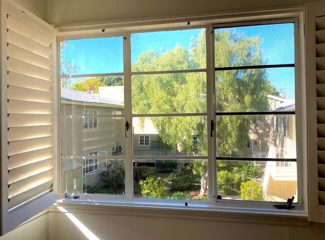 Beautiful living room view - 1317 Franklin St