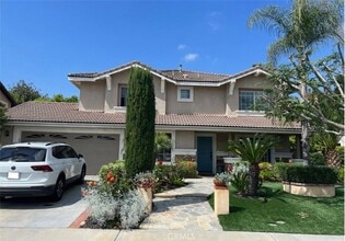 Building Photo - 16636 China Berry Ct