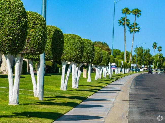 Tree-lined streets in Sun City give the city a peaceful atmosphere.