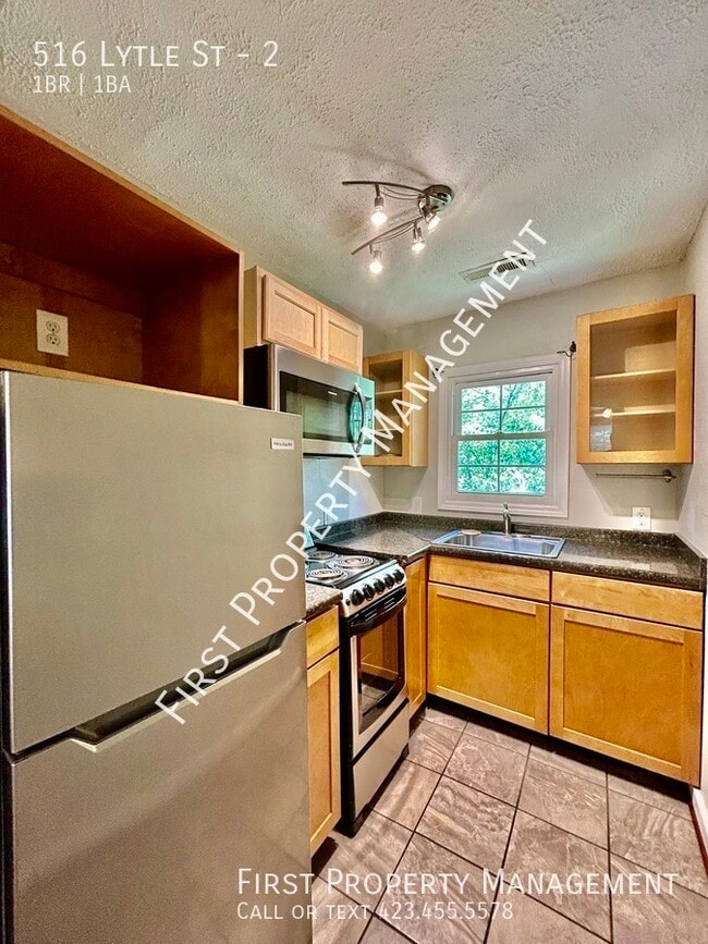 Building Photo - 516 Lytle St