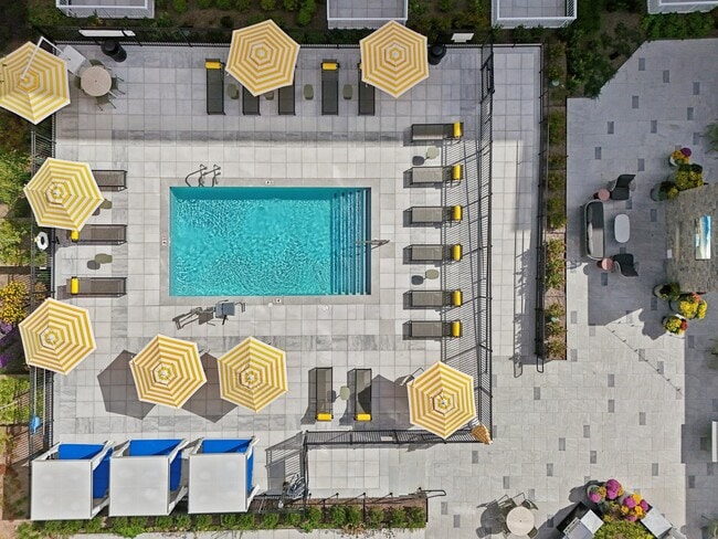 Photo - Alexan Waltham Apartments