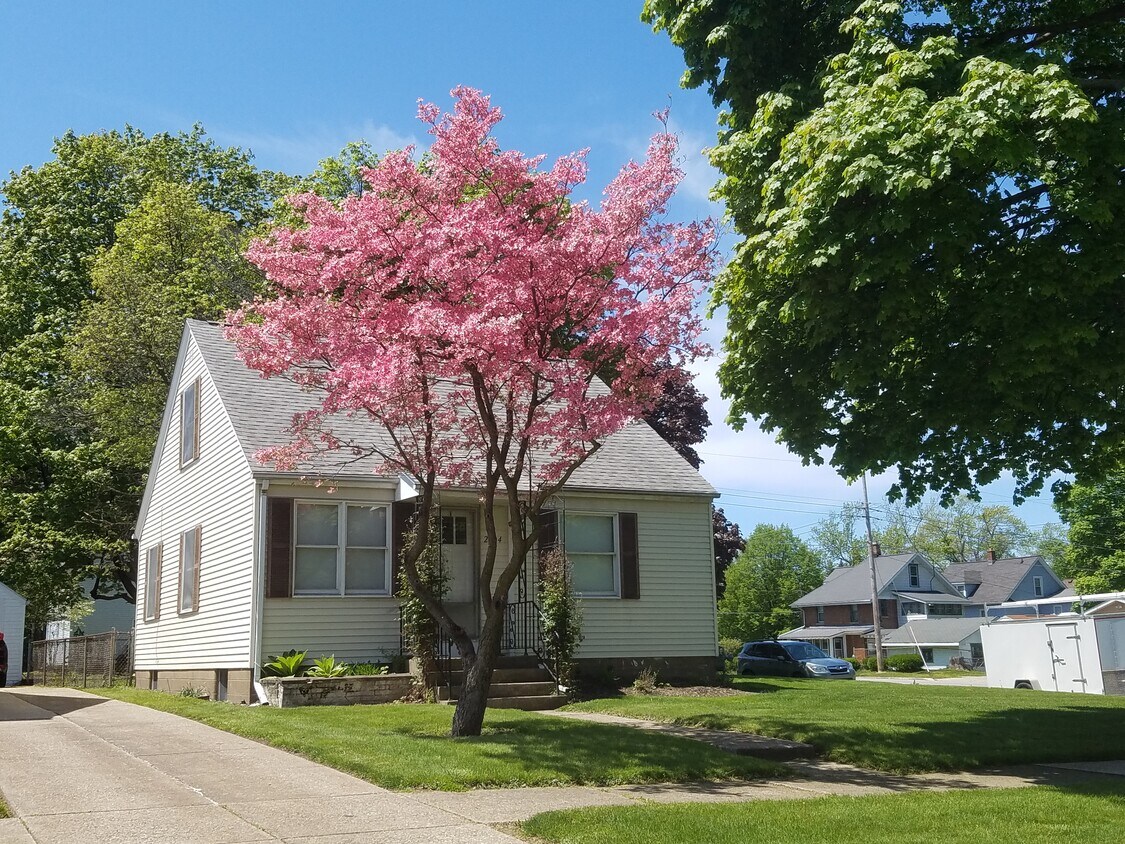 Primary Photo - 2204 E Lawn Pkwy