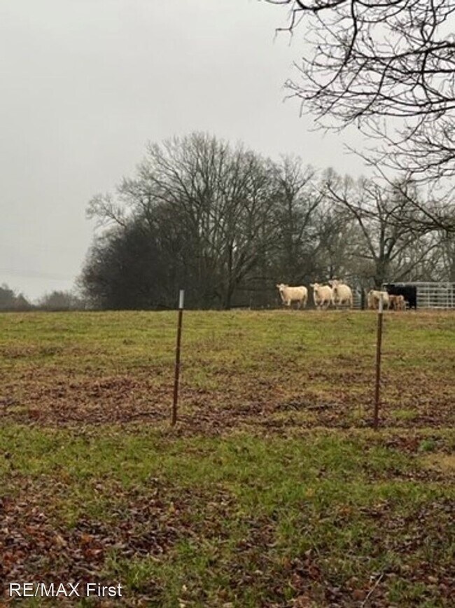 Building Photo - 4 br, 1 bath House - 3652 US Hwy 411 South