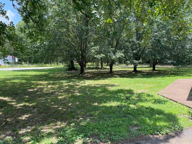 Building Photo - 3 br, 2 bath House - 278 Archery Lane