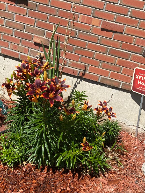Foto del edificio - 614 Crestridge Ave