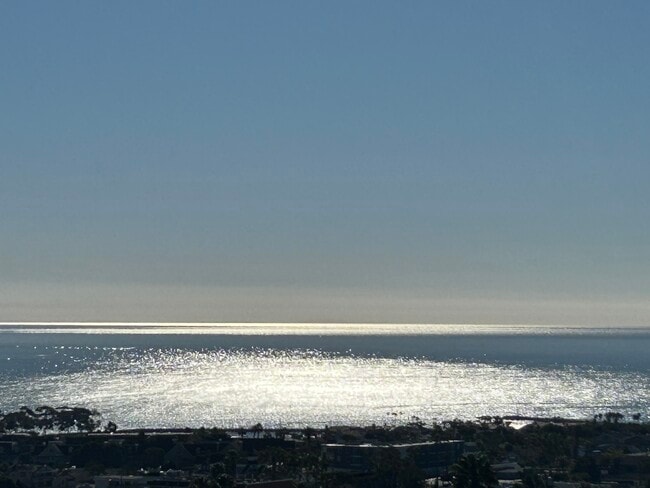 View from living room - 24432 Alta Vista Dr