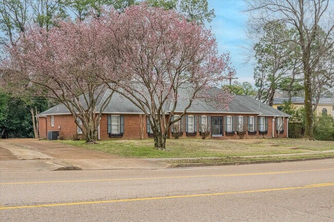 Building Photo - 356 Perkins Extd